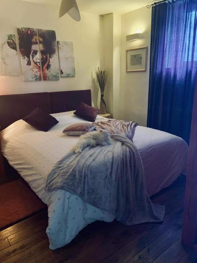 Vila Dragana Zabljak  Bagian luar foto