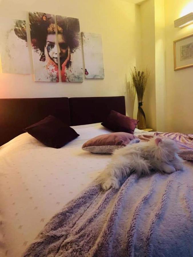 Vila Dragana Zabljak  Bagian luar foto