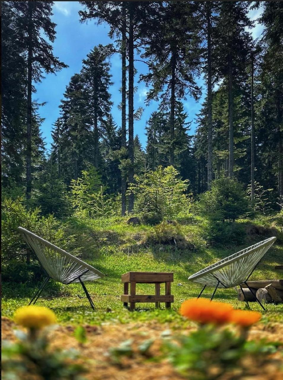Vila Dragana Zabljak  Bagian luar foto