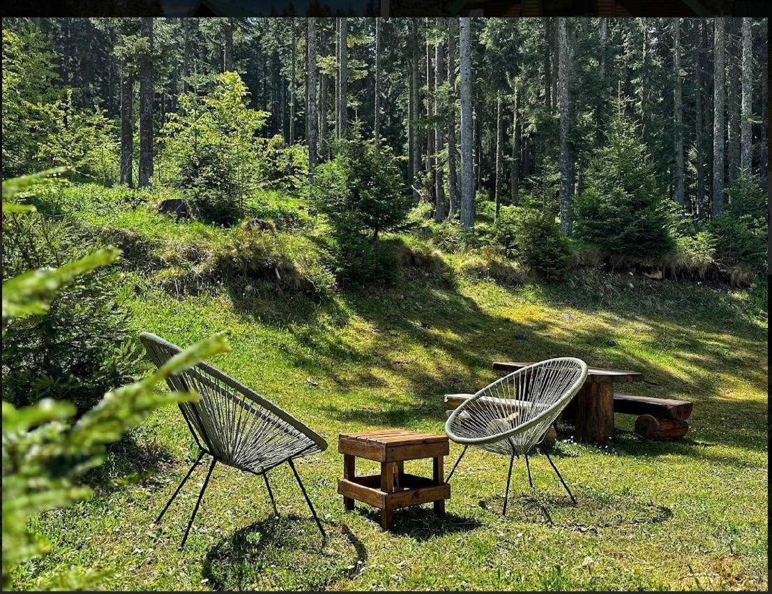 Vila Dragana Zabljak  Bagian luar foto