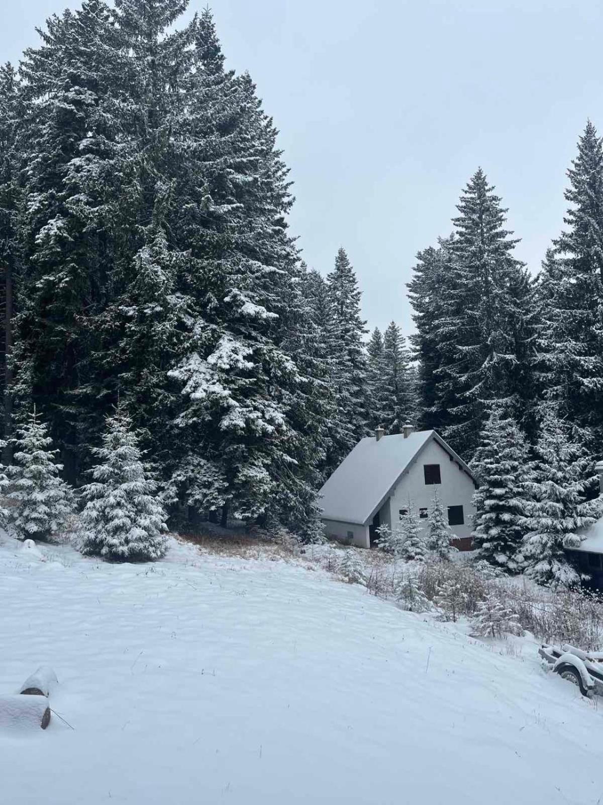 Vila Dragana Zabljak  Bagian luar foto