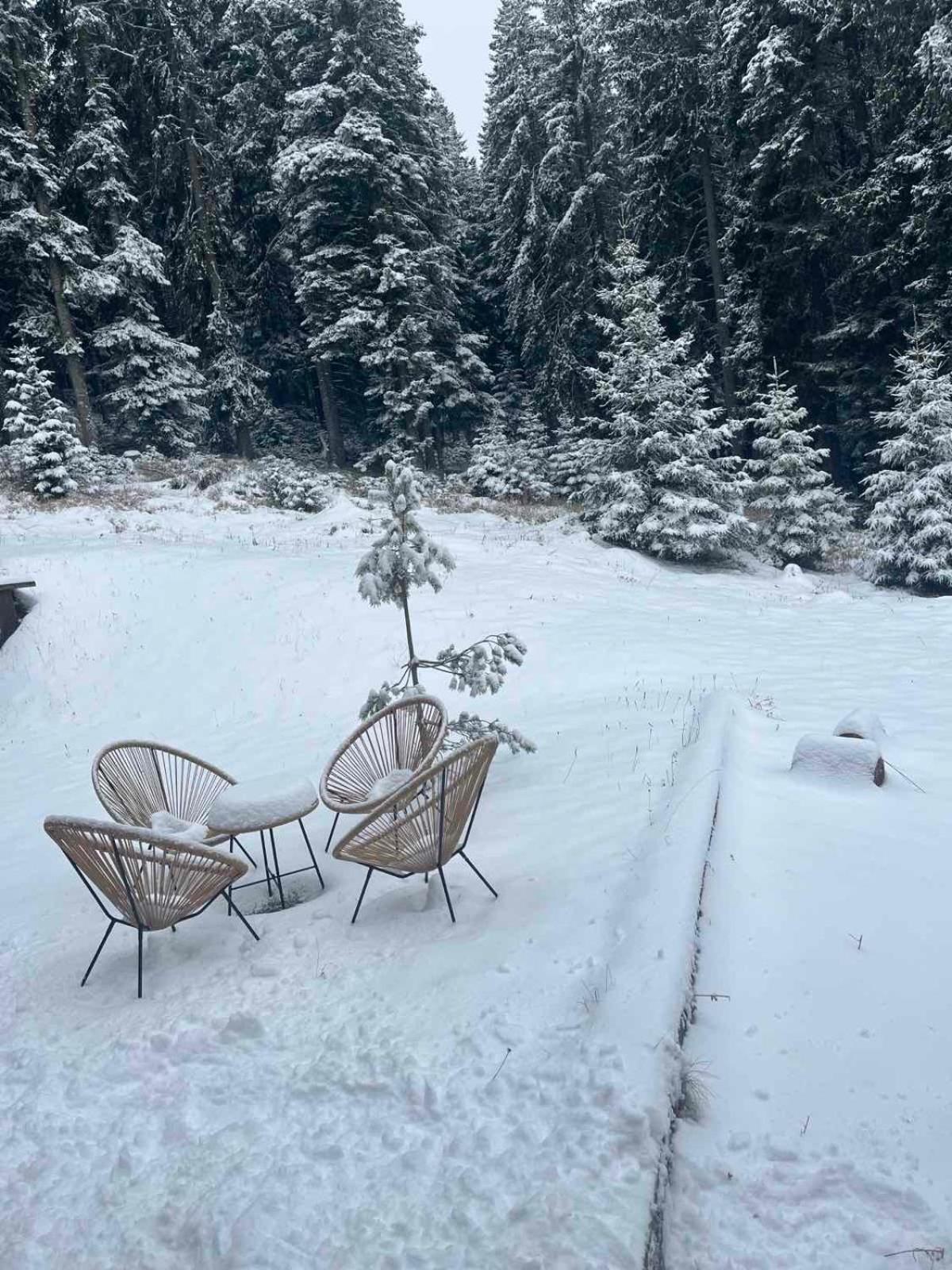 Vila Dragana Zabljak  Bagian luar foto