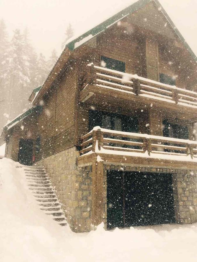 Vila Dragana Zabljak  Bagian luar foto