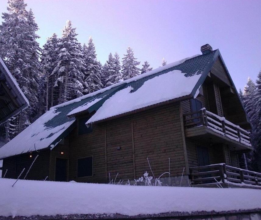Vila Dragana Zabljak  Bagian luar foto